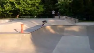 skate augustine - go skate day