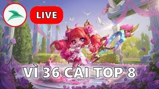 [LIVE] [TFT] Stream đến khi đủ 36 top 8 #2