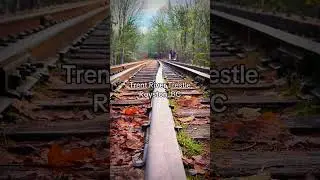Spending any amount of time around train tracks conjures the blues. #bc #canada #comoxvalley #train