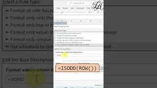How to Highlight Alternate Rows in Excel | Highlight Rows | Conditional Formatting #shorts