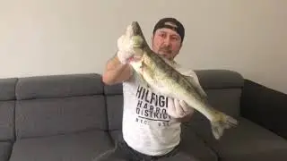 Zander mit Haut filetiert