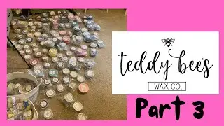 MY TEDDY BEE'S COLLECTION ~ Part 3 of 3