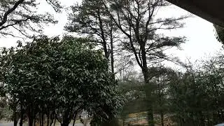December 19, 2025, Storm System Part 1: Pre Frontal Wind and Rain Squalls