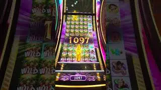 GROS GAIN &Agrave; LA MACHINE &Agrave; SOUS WILLY WONKA &Agrave; LAS VEGAS !!! #machine&agrave;sous #lasvegas #casino #jeuxda...