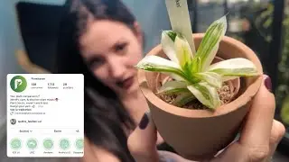 PLANTIVERSE APPLICATION D'IDENTIFICATION ET D'ENTRETIEN POUR VOS PLANTES