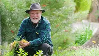 Spring Wake-Up Feed with Neville &ndash; The Garden Gurus 🌱🐝