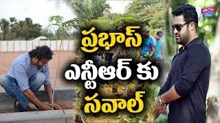 NTR, Prabhas Green Challenge From Talasani Srinivas Yadav | Celebrity News | YOYO Cine Talkies