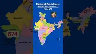 Number of Asiatic Lion in the Indian States &UT #lion #india