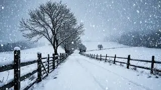 Peaceful Winter Snowfall Road ❄️ Relaxing Ambience Live | Sleep, Study, Meditation
