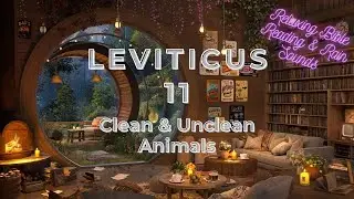 Leviticus 11 &ndash; Clean & Unclean Animals | Relaxing Bible Reading & Rain Sounds