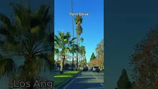 Cruising Palm Drive LA in real-time #asmr #pov #drivingvideo