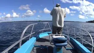 50lb GT on popper with Hamachi Nano Ultra Cast 7'6