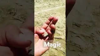 Magic #sand #sandrock #adventure  #passionoftreasure  #magic #adventure #beach #explore  #rocks