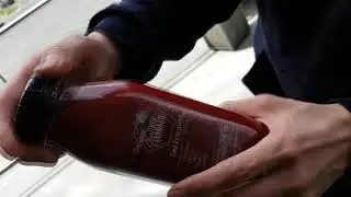 Las Vegas Conference Trip part 7 Review The Juice Standard Bee Energized