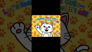Are you guys ready to learn about cats? Let's dive into the journey of learning together😸#cat