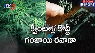 Special Report On Illegal Transportation of Cannabis in Telugu States | TV5 News
