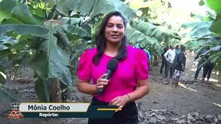 Aldeia Indigena