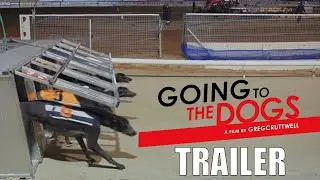 &laquo;GOING TO THE DOGS&raquo; &mdash; документальный фильм о собачьих бегах в кинотеатрах Великобритании с 7 ноября