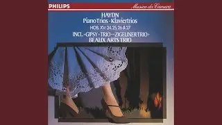 Haydn: Piano Trio in D Major, Hob. XV:24: II. Andante