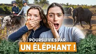 MON SAFARI À CHEVAL AU BOTSWANA...  😳🐴 poursuivies par des éléphants et encerclées par des hyènes !