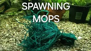 How To make Spawning Mops Cheap and Easy
