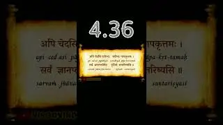 👆 BG 4.36 | Bhagavad Gita 4.36 | Chapter 4.36 | Shloka 4.36 | Text 4.36 | Verse 4.36 #shorts