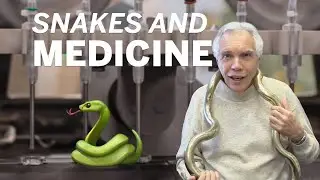 Dr. Joe Schwarcz: Snakes and medicine