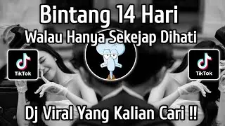 BINTANG 14 HARI • WALAU HANYA SEKEJAP DIHATI MENGAPA BY PI7U || DJ SLOW VIRAL TIKTOK TERBARU 2025 !!