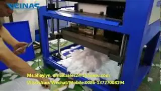 VEINAS EPE foam punching/die cutting machine