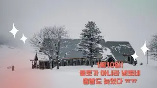 1월10일 투나대리 물토가 아니라 냉토네 출발도 늦었다 ㅠㅠ