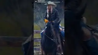 Riding my horse on a Cattledrive #cattledrive #horseriding #horses #cows