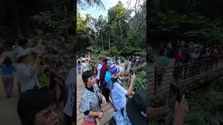 ความอลังการของน้ำตก ตาดกวางสี🇱🇦