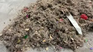 Vac Spirit Week- Day 4: Natural Dirt