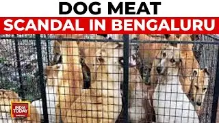 News at 9: Dog Meat Scandal in Bengaluru, FSSAI Orders Inquiry
