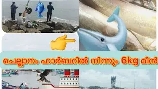 Chellanam Fishing￼ harbour # ചെല്ലാനം ഹാർബറിൽ നിന്നും 6kg മീൻ KeralaFishing Spot #keral