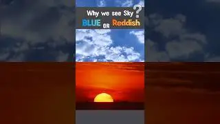 Why Does the Sky Look Blue or Red ? #shorts #shortsfeed #sky #sun #science #facts #sunrise #sunset