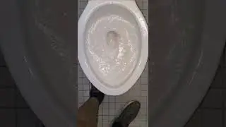 The Most OVERPOWERED Kohler Downing On YouTube #toilets #flush