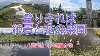 【百名山 会津駒ケ岳】  登ってしまえば 絶景を長く堪能 お花もたくさんオススメコース