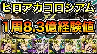 【パズドラ】酒サレーネ持ってない人向け！1周8.3億経験値！僕のヒーローアカデミアコロシアム！ヒーローたち！1周4~5分台！ほぼずらし！サレーネ-スターアンドストライプ編成でランク上げ周回！