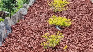 How to lay weed mat, save ur garden bed