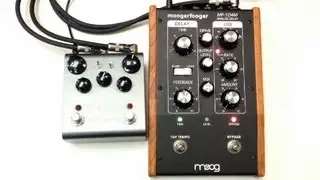 Strymon El Capistan vs Moog MF-104M Analog Delay