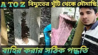 বিদ্যুতের খুঁটি থেকে মৌমাছি বাহির করার সঠিক পদ্ধতি