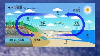 The Nature of Central Research Laboratory: The Forest and The Spring - Hitachi