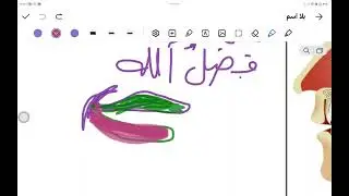 مخرج. اللام  والفرق. بين. اللام  المرققة  واللام  المفخمة 