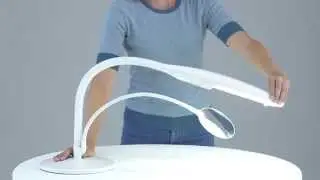 Daylight Swan Table Lamp and Swan Floor Lamp