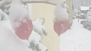 &Scaron;tramberk - Květ v prosinci 2022 💖