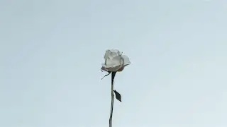 정밀아(Jeong Milla) - 꽃(A Flower) Kor-Eng sub