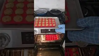Quick Kids Snack Muffins 😋