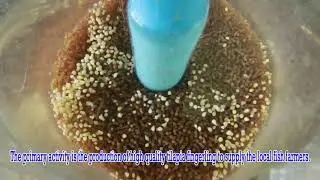 vitafort agro asia EP12