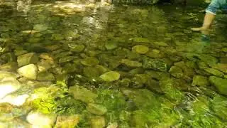 Pebbles in the clear pond water - Hwadamsup #explore #travel #nature #travellingasia #asiatravels